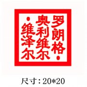 正方形外国法人中文名字印章图片